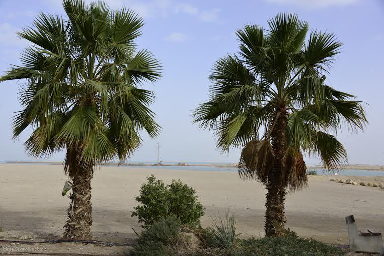 Hotel Rose Dead Sea Neve Zohar Zimmer foto