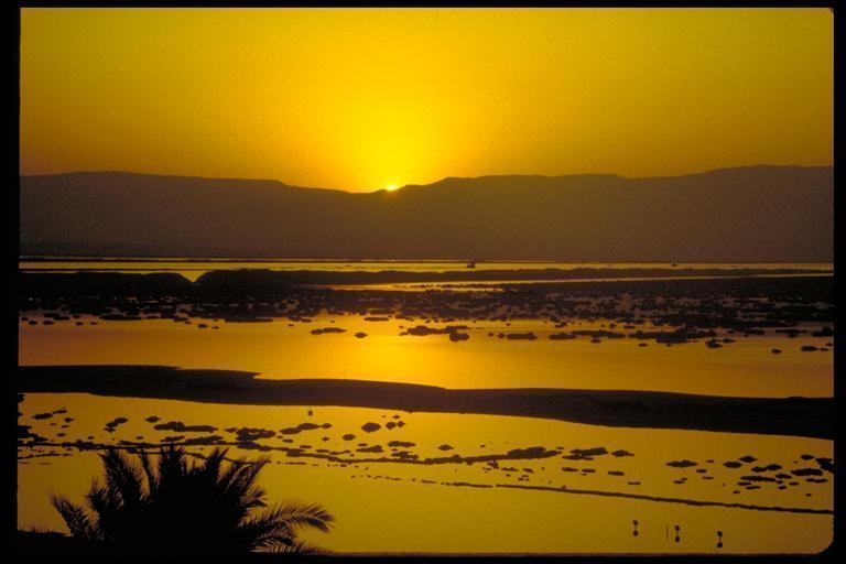 Hotel Rose Dead Sea Neve Zohar Zimmer foto