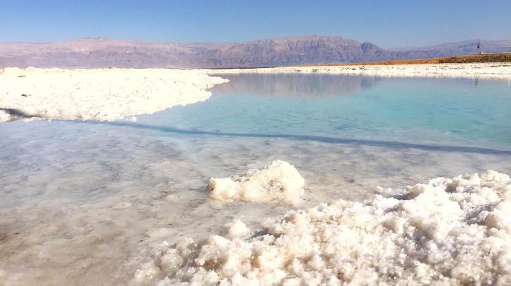 Hotel Rose Dead Sea Neve Zohar Exterior foto